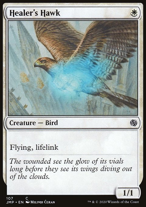 Healer's Hawk